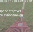 В апреле стартует сезон субботников - Тосненские Ведомости