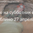 27 апреля МОО "Мусора.Больше.Нет" приглашает в Саблино - Тосненские Ведомости
