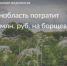 Ленобласть потратит 35 млн. руб. на борщевик - Тосненские Ведомости