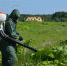 b1b9ef36e524a182d6d7c383c8cdd45a - Газета Тосненский вестник