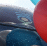 Ленинградцы поздравляют мам и бабушек_61a34b4508d5c.png - Газета Тосненский вестник