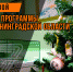 Новогодние программы в музеях Ленинградской области - Газета Тосненский вестник