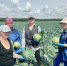 IMG_20230721_105222_907 - Газета Тосненский вестник