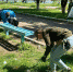 Тридцать тысяч кубов - Газета Тосненский вестник