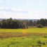 ПРОГРАММА «Ленинградский гектар» - Тосненский район