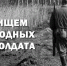 Поисковики из Лодейного Поля ищут родственников погибшего красноармейца - Газета Тосненский вестник