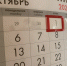 Буква закона. Новеллы октября - Газета Тосненский вестник